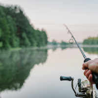 Checking in on the bite with Steve Carney