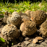 Steve would like the heat to leave so the deer can start movin