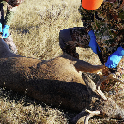 Steve Thomson And Eric Nelson