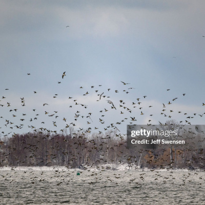 Steve Thomson And Eric Nelson