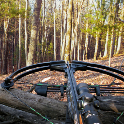 Steve Thomson And Eric Nelson