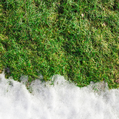 Steve Thomson And Eric Nelson