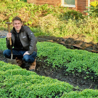 Grow Your Own food project aims to alleviate food poverty