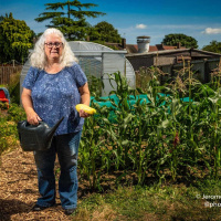 Wendy Gregory - Community Garden Guerrillas
