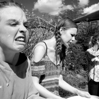 THE CAUTIONARY TALE OF HORRID HAM CARVER