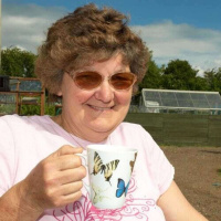 Wansbeck Allotments, East Hull