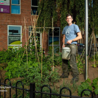 John Pickles - The Wilson Bed