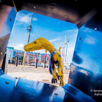 Creative Briefs at Dinostar