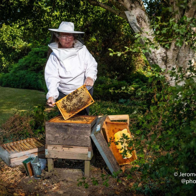 Jerome Whittinghams posts