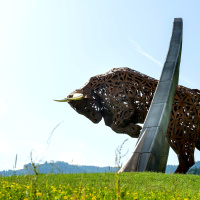 BoN 2015/18 — Austrian GP Preview