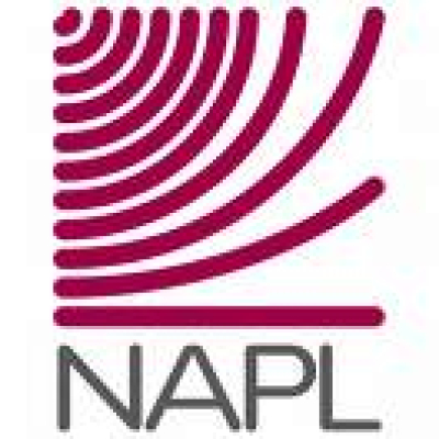 Napl Mergers Podcast