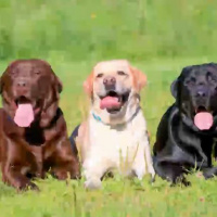 Identity Part Six - Be Here Now