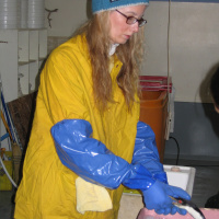 Episode 14 - Diane Haynes