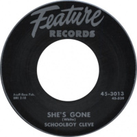 HjGRNJ Show #8 ...Its a Bird....its a Plane...its a flying 78rpm!