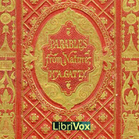 29 - Birds in the Nest