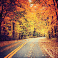 The Road Not Taken and Take Something Like a Star