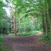 Podomatic podcast example