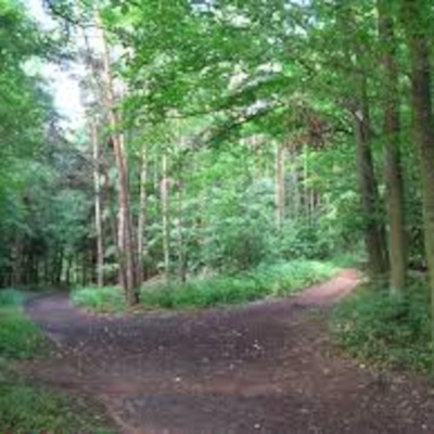 Aoife Coffeys Podcast