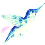 Success Coaching Talk Radio