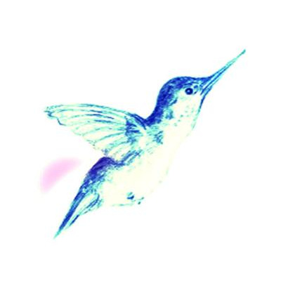 Success Coaching Talk Radio