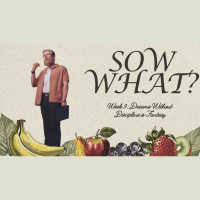 Sow What?: Week 9: Dreams Without Discipline is Fantasy