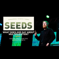Seeds: Week 7 - what does god say about multiplication?