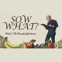 Sow What?: Week 8: The Strength of Gentleness