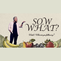 Sow What? - Week 1: Who are you following?