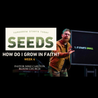 Seeds: Tomorrow Starts Today - Week 4