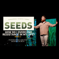 SEEDS: Tomorrow Starts Today - Weeks 3