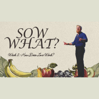 Sow What?: Week 2: How Does Love Work?