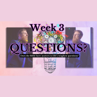 Questions - How Do You Not Become Bitter Or Jealous?