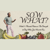 Sow What?: Week 5 - Planted Patience - The Strength to Stay When You Want to Run