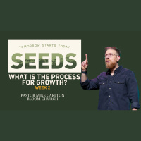 What Is The Process For Growth? - Seeds Sermon Series: Week 2
