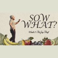 Sow What?: Week 3 - The Joy Thief