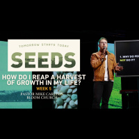 Seeds: Tomorrow Starts Today - Week 5