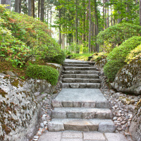 #18 Foreign Visitors in Japan