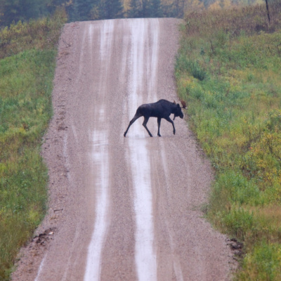 English Break Podcast