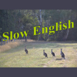 Slow English