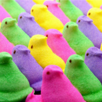 Easters Here and so is the Sugar 