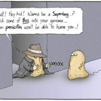 Antibiotic Resistance 