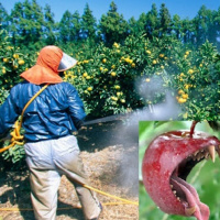 Pesticides, Glyphosate and You
