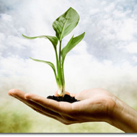 The Holistic View Point