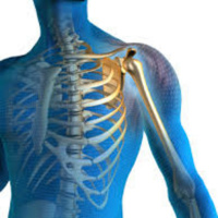 Healthy Bones for Life! 