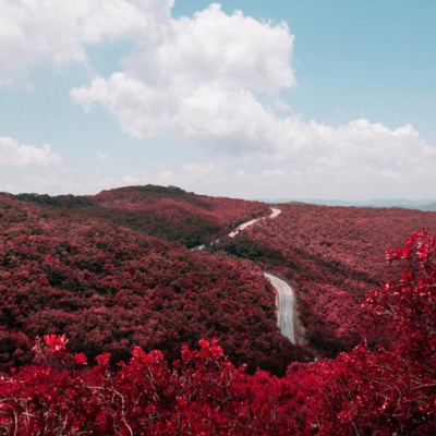 Dr. Dahans Daily Wisdom - Motivational Podcast