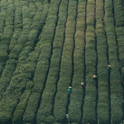 Dr. Dahans Daily Wisdom - Motivational Podcast