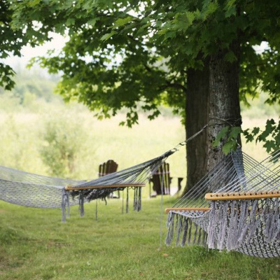 Dr. Dahans Daily Wisdom - Motivational Podcast