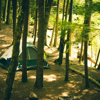 Dr. Dahans Daily Wisdom - Motivational Podcast