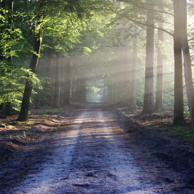 Dr. Dahans Daily Wisdom - Motivational Podcast