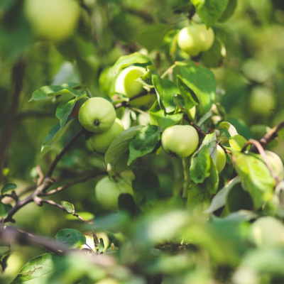 Dr. Dahans Daily Wisdom - Motivational Podcast